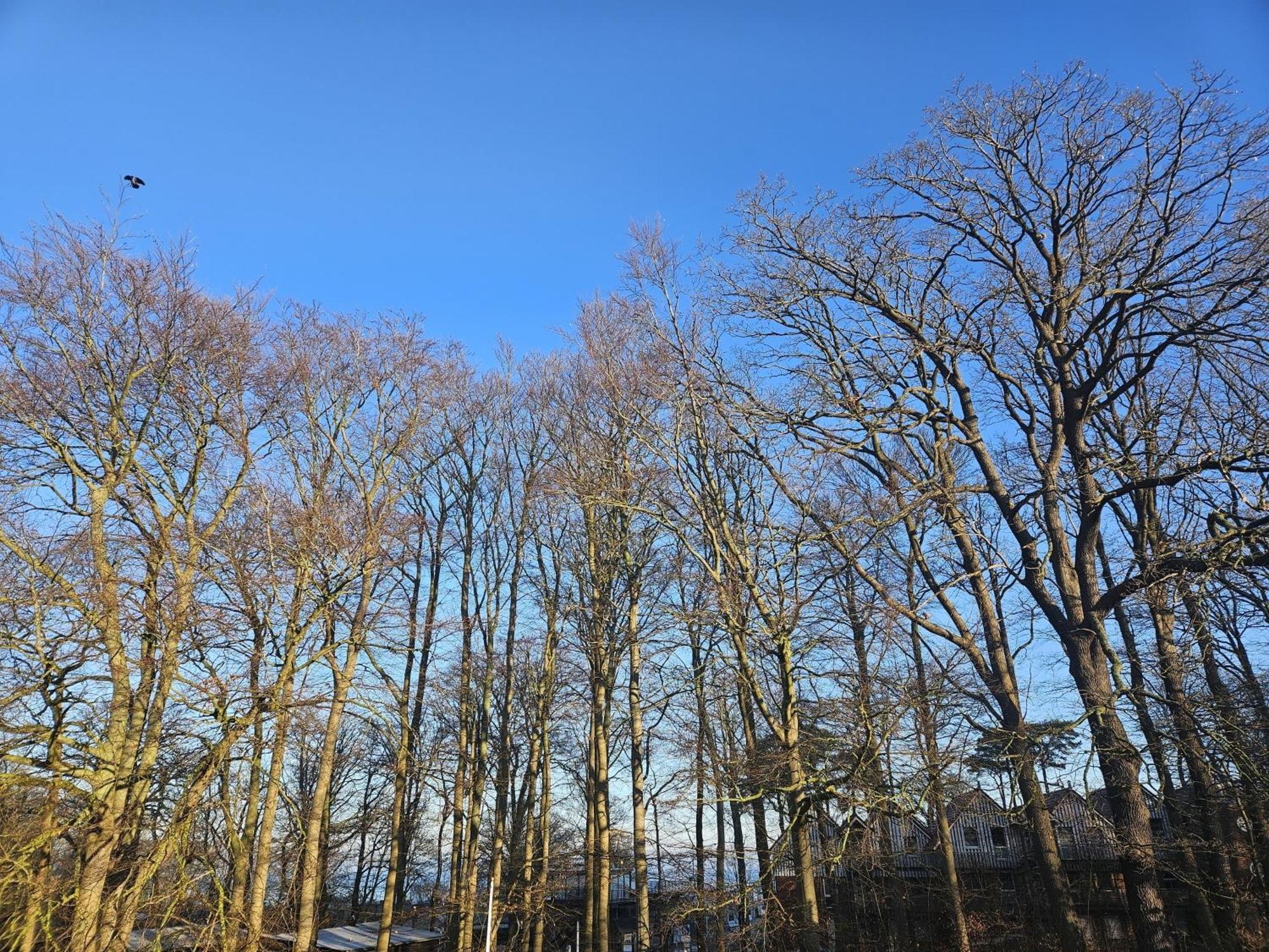 Duenenmeisterei Whg 